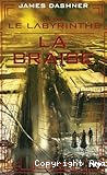 Avant le Labyrinthe : la braise