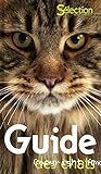 Guide des chats