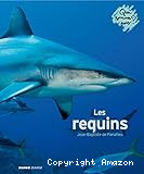 Les requins